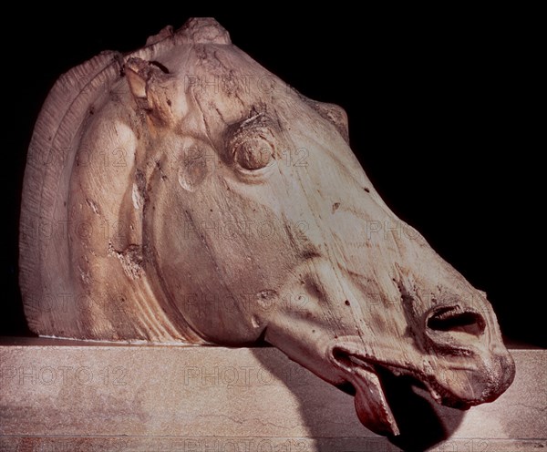 FIDIAS 490/430 AC
*CABEZA DE CABALLO 447 AC-DETALLE DEL FRISO DEL PARTENON
LONDRES, BRITISH