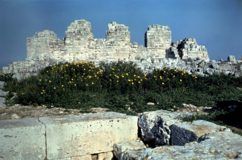 Ruins of the Euryale fortifications