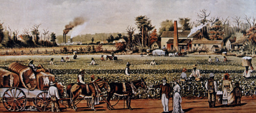 "CULTIVO AGRICOLA"PLANTACION DE ALGODON CON ESCLAVOS DEL SUR
