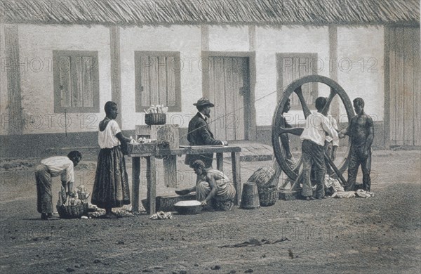 I-ESCLAVOS MOLIENDO LA MANDIOCA
RIO DE JANEIRO, BIBLIOTECA NACIONAL
BRASIL
