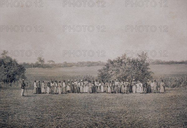 I-ESCLAVOS NEGROS TRABAJANDO LA COSECHA DE AZUCAR
RIO DE JANEIRO, BIBLIOTECA NACIONAL
BRASIL