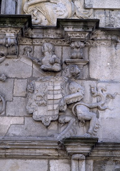 PORTADA-1er CUERPO-EFIGIE DE VICTORIA ESQUIBEL Y LEON CON BLASON
VITORIA, PALACIO DE