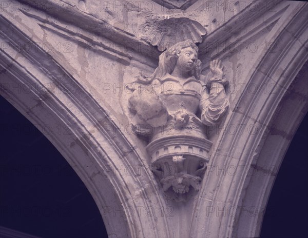 INTERIOR-PATIO-MEDALLON-VENUS CON CUPIDO EN VIENTRE
VITORIA, PALACIO DE