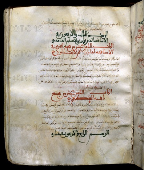 VICENTE PRESBITERO
COLECCION CANONICA TRADUCIDA AL ARABE-SIG1623-F171-COPIA DE 1049
SAN LORENZO