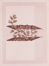 CELIS
DIBUJO EN CARTULINA (FLORES)
MADRID, COLECCION PARTICULAR
MADRID