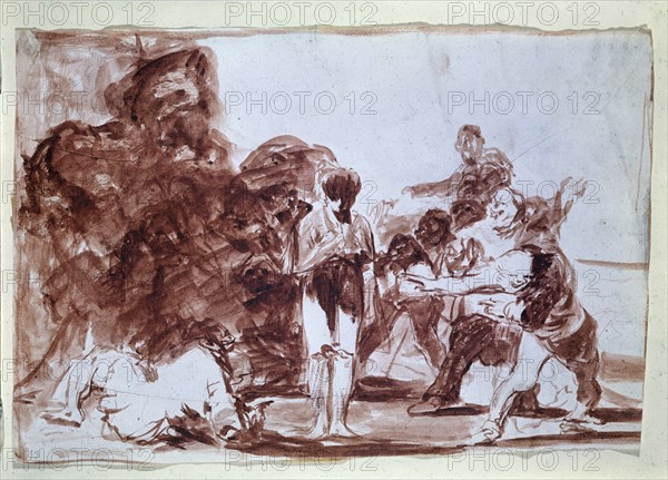 Goya, Still foolishness