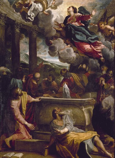CARRACCI ANIBALE 1560/1609
LA ASUNCION-L.1,30X0,97-NºPRADO 75-HACIA 1587
Madrid, musée du
