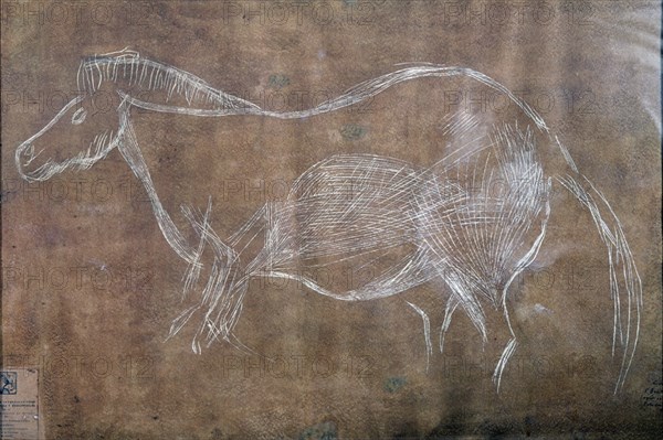 PINTURA RUPESTRE DEL CASTRO DE COAÑA- CABALLO
OVIEDO, MUSEO ARQUEOLOGICO
ASTURIAS