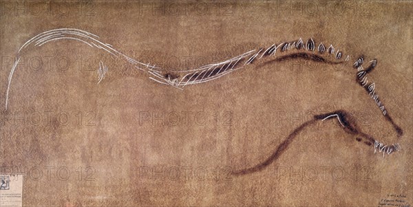 PINTURA RUPESTRE DEL CASTRO DE COAÑA- CABALLO
OVIEDO, MUSEO ARQUEOLOGICO
ASTURIAS

This image