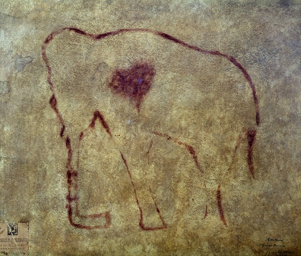 PINTURA RUPESTRE PROCEDENTE DE LA CUEVA DEL PINDAL - MAMUT HERIDO
OVIEDO, MUSEO