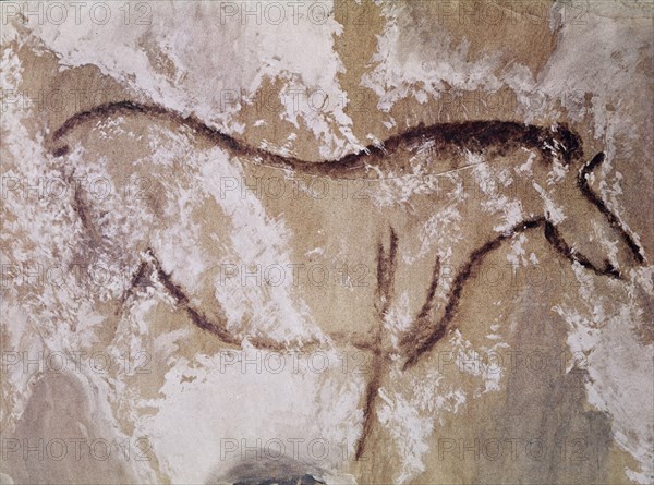 PINTURA RUPESTRE - CABALLO EN ROJO Y GRABADO - PALEOLITICO SUPERIOR
CANDAMO, CUEVA DE SAN