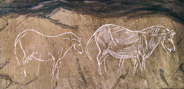 PINTURAS RUPESTRES - CABALLOS PASTANDO - MAGDALENIENSE
CANGAS DE ONIS, CUEVA DEL