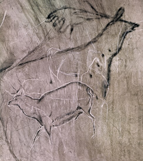PINTURA RUPESTRE - CIERVO CABALLO Y GAMO
CANGAS DE ONIS, CUEVA DEL BUXU
ASTURIAS

This image is