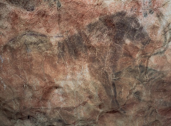 PINTURA RUPESTRE - CABALLO - PALEOLITICO SUPERIOR
RIBADESELLA, CUEVA DE TITO