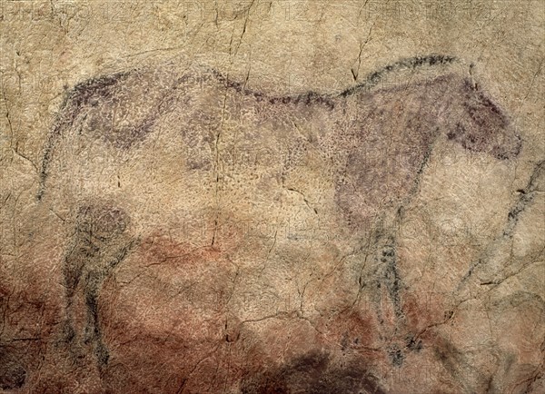 PINTURA RUPESTRE - CABALLO - PALEOLITICO SUPERIOR
RIBADESELLA, CUEVA DE TITO