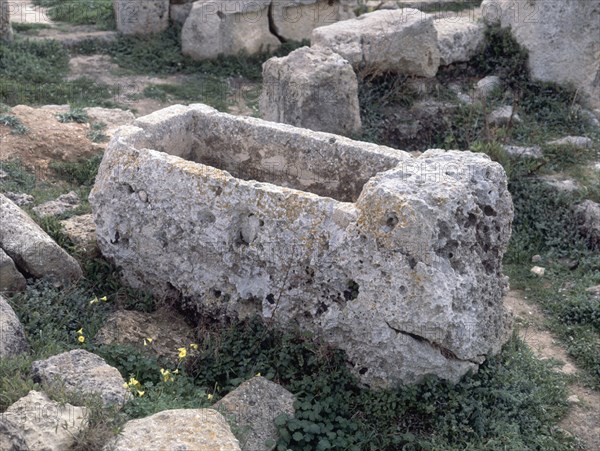 BASILICA PALEOCRISTIANA SARCOFAGO
SON BOU, EXTERIOR
MENORCA

This image is not downloadable.