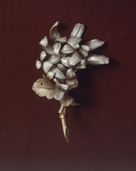 BROCHE DE MARFIL
MADRID, COLECCION PARTICULAR
MADRID