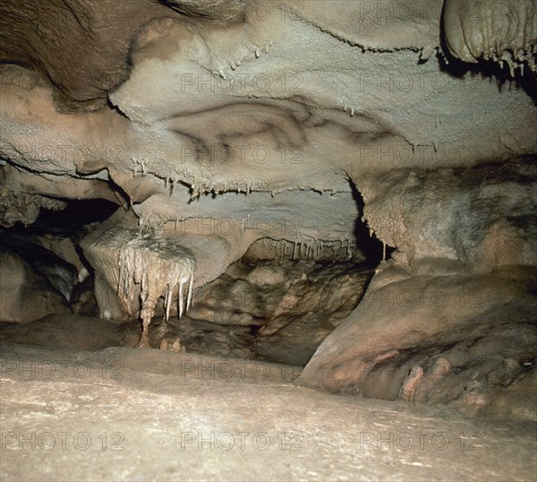 PAREJA DE OSOS PINTADOS EN EL TECHO DE LA CUEVA DE EKAIN - PINTURA RUPESTRE
EKAIN,