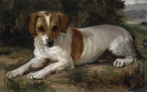 Sorolla, A dog