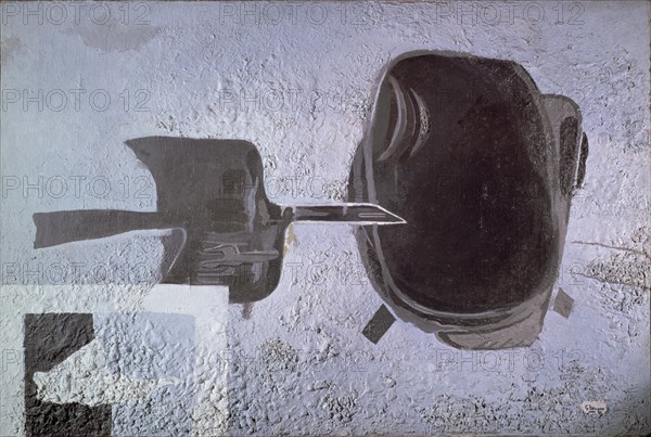 BRAQUE GEORGES 1882/1963
A TODO VUELO 1955
PARIS, MUSEO DE ARTE MODERNO
FRANCIA

This image is