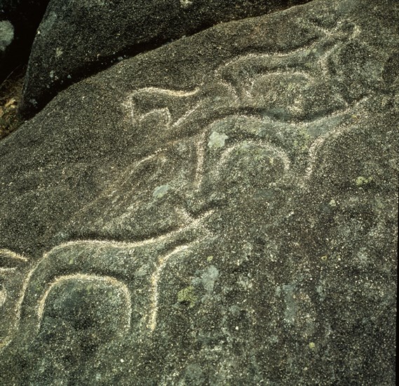 INSCULTURAS DE AS FRAGAS- ARTE RUPESTRE
CAMPO LAMEIRO, EXTERIOR
PONTEVEDRA