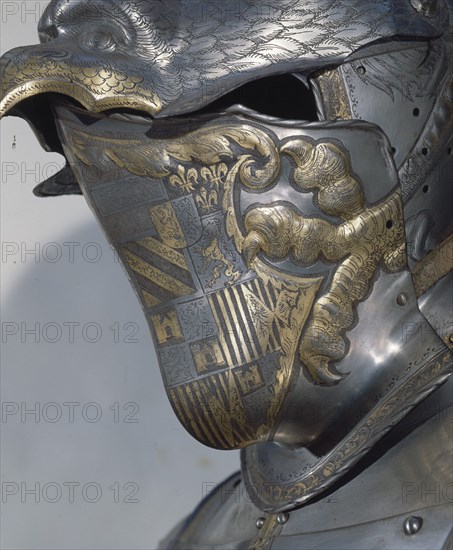 DT CELADA DEL CASCO CARLOS V A 151
MADRID, ARMERIA REAL
MADRID

This image is not downloadable.