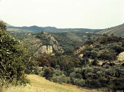View on the valley of Sierra Morena in Spain