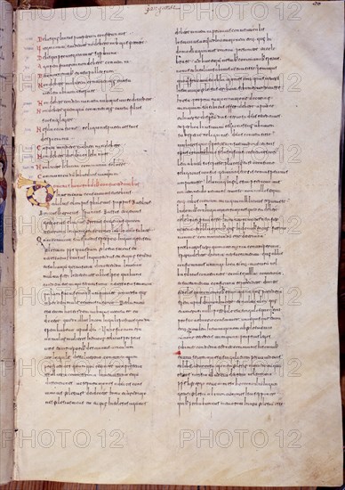 CODICE EMILIANENSE   FOL 60
SAN LORENZO DEL ESCORIAL, MONASTERIO-BIBLIOTECA
MADRID

This image