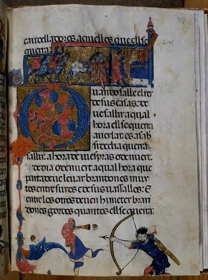 LIBRO CORONACION DE REYES-CEREMONIA MUERTE REY-ARAGON-L XVI
SAN LORENZO DEL ESCORIAL,