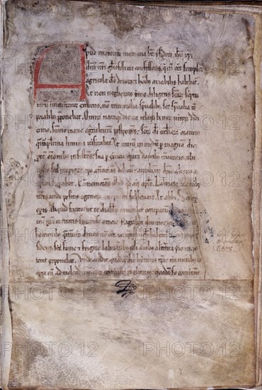 DIACONO JUAN
PRIMERA PAGINA DEL CODICE DEL SIGLO XIII
MADRID, CATEDRAL DE SAN