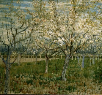 Van Gogh, Le verger rose