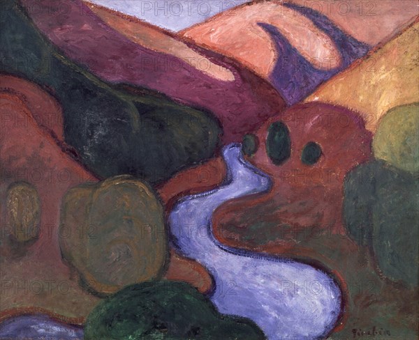 PICABIA FRANCIS 1879-1953
VALLE CON RIO