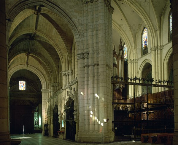 NAVE LATERAL DERECHA DESDE EL CRUCERO
MURCIA, CATEDRAL
MURCIA

This image is not downloadable.