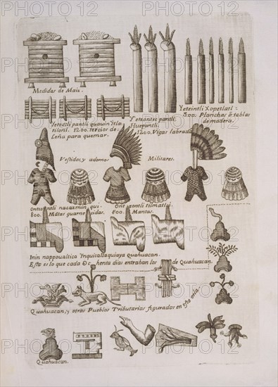 CORTES HERNAN 1485/1547
H DE LA NUEVA ESPANA-TRIBUTOS A MOZTEZUMA-12
MADRID, BIBLIOTECA NACIONAL