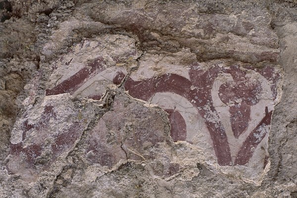 FRESCO - DETALLE
PROVINCIA, MEDINA AZAHARA
CORDOBA