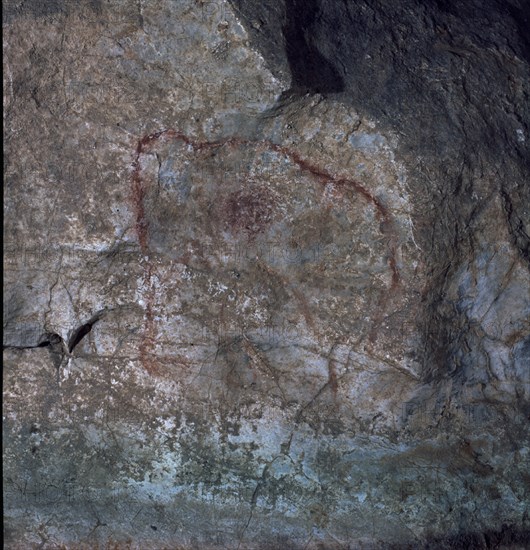 PINTURA RUPESTRE DE BISONTE O MAMUT HERIDO-PALEOLITICO SUPERIOR
PIMIANGO, CUEVA DEL