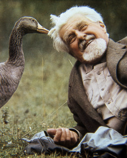 Konrad Lorenz, Nobel Prize in Physiology or Medicine in 1973