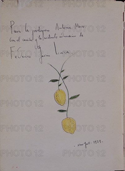 GARCIA LORCA FEDERICO 1898/1936
DIBUJO - RAMA DE LIMONERO DEDICADA A ANTONIA MERCE (1929)-