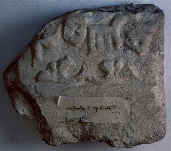 FRAGMENTO ZOCAL MARMOL-A ALMORAVIDE SG XII
GRANADA, MUSEO HISPANO-MUSULMAN
GRANADA

This image
