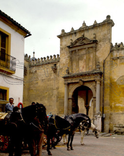 MEZQUITA-PUERTA DE STA CATALINA-COCHES DE CABALLOS
CORDOBA, MEZQUITA
CORDOBA

This image is not