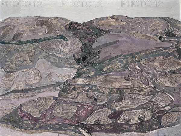 REDONDELA AGUSTIN 1922/-
PINTURA 1972
MADRID, COLECCION PARTICULAR
MADRID

This image is not