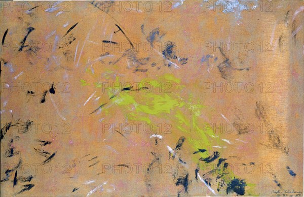 CARDENAS MARTA 1944-
PINTURA-1987 ZARZAS, PRADO Y BOSQUE 75*116 CM OLEO/LIENZO
MADRID, COLECCION