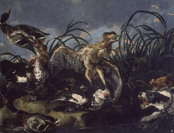FYT JAN 1611/61
ANADES Y GALLINAS DE AGUA-L.1,27X1,63 CMS-NºPRADO 1531-S XVII ESC