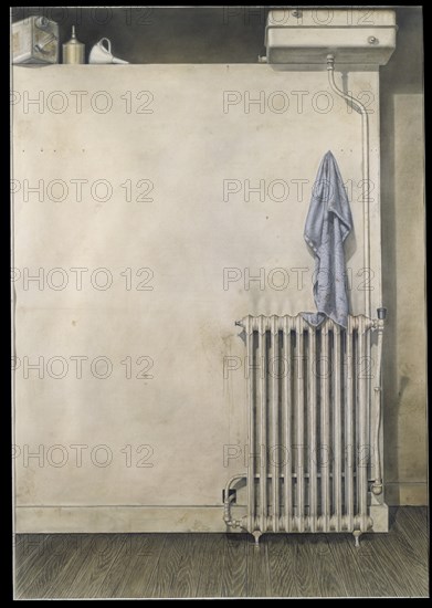 BOTERO FERNANDO 1932
PINTURA-PARED CON RADIADOR
MADRID, COLECCION PARTICULAR
MADRID

This