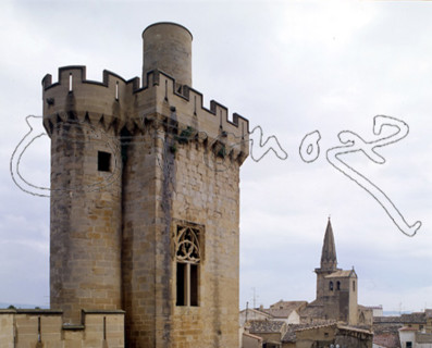 PALACIO REAL-DET TORREON ALMENADO
OLITE, CASTILLO-PALACIO REAL
NAVARRA