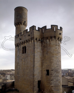 PALACIO REAL-DET TORREON ALMENADO
OLITE, CASTILLO-PALACIO REAL
NAVARRA