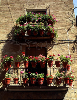 CALLE MAYOR-FACHADA-DETALLE DE BALCON CON TIESTOS
PUENTE LA REINA, EXTERIOR
NAVARRA