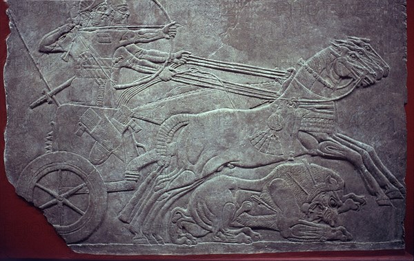 RELIEVE-CAZA DE LEONES CON CARRO-PALACIO NINIVE
LONDRES, BRITISH MUSEUM
INGLATERRA

This image