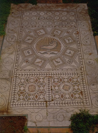 JARDIN-MOSAICO ROMANO DE VENUS-PROCEDE DE CARTAMA
MALAGA, MUSEO BELLAS ARTES
MALAGA

This image