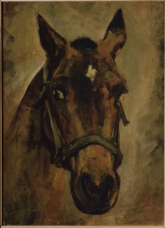 Sorolla, Tête de cheval